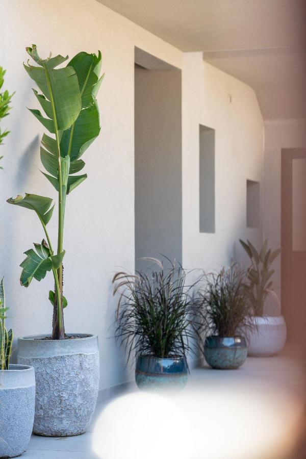 Villa Ilma Luxury Rooms อาร์ซาเคนา ภายนอก รูปภาพ